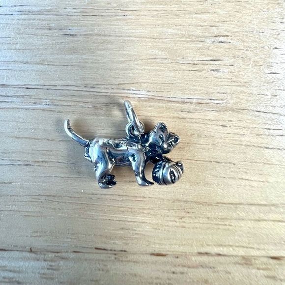 No Brand Jewelry - Cat 925 Sterling Silver Charm